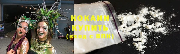 тгк Няндома