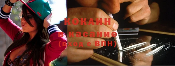 тгк Няндома