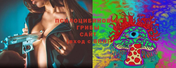 тгк Няндома