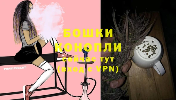 тгк Няндома