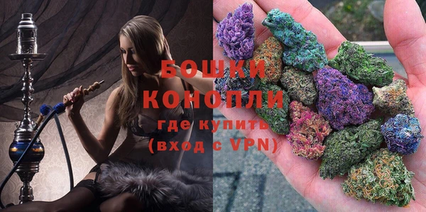 тгк Няндома