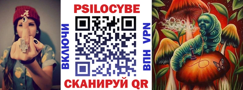 мега   Торопец  Галлюциногенные грибы Psilocybe 